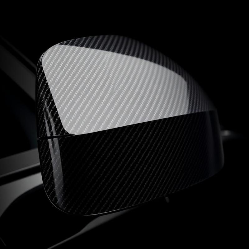 Carbon Mirror Caps (Pair)